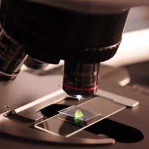 Chemistry, Grade 12 (SCH4U)